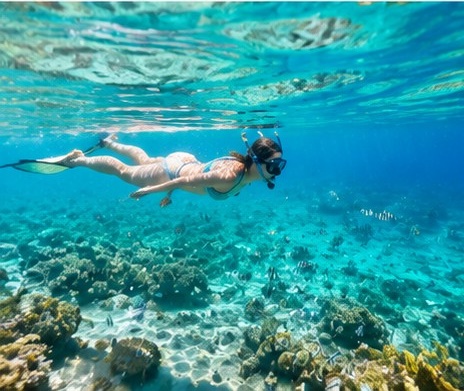 Crystal Rock Mauritius